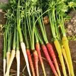 Etkinliklerden Kareler